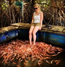 Magical 4 Days 3 Nights Negombo Tour Package