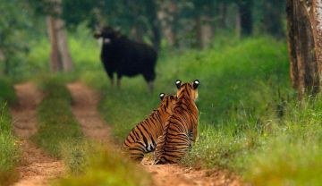 Magical 4 Days Nainital lake Tour Tour Package