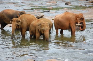 Magical 4 Days 3 Nights Colombo Trip Package