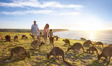 Best Brisbane Tour Package for 11 Days from Sydney