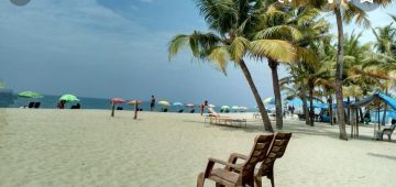 Experience 6 Days 5 Nights Munnar, Alleppey with Marari Beach Vacation Package