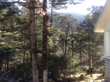 Experience 5 Days Siliguri to Lachung Holiday Package