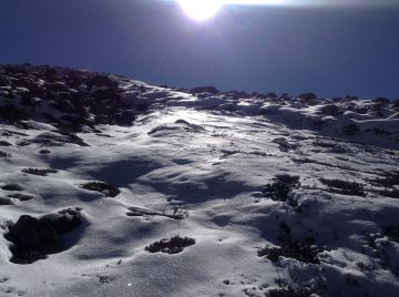 Experience 5 Days Siliguri to Lachung Holiday Package