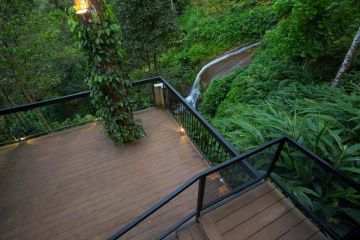 Amazing Munnar Tour Package from Alleppey - Cochin