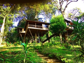 Beautiful 3 Days Cochin - Munnar, Munnar with Munnar - Cochinernakumal Holiday Package