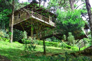 Beautiful 3 Days Cochin - Munnar, Munnar with Munnar - Cochinernakumal Holiday Package