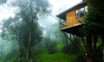 Beautiful 3 Days Cochin - Munnar, Munnar with Munnar - Cochinernakumal Holiday Package