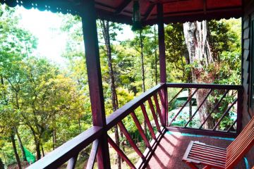 Beautiful 3 Days Cochin - Munnar, Munnar with Munnar - Cochinernakumal Holiday Package