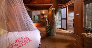 Beautiful 3 Days Cochin - Munnar, Munnar with Munnar - Cochinernakumal Holiday Package