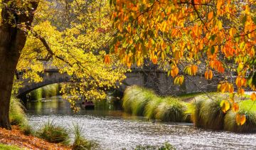 Experience Christchurch Tour Package for 10 Days 9 Nights