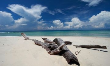 Experience Neil Island Tour Package for 6 Days