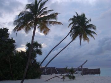 Beautiful Male Tour Package for 4 Days