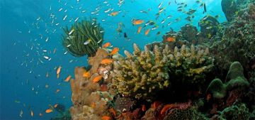 7 Days Port Blair Tour Package