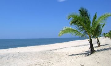 Family Getaway 7 Days Munnar, Alleppey and Varkala Trip Package