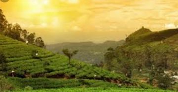 Family Getaway 7 Days Munnar, Alleppey and Varkala Trip Package