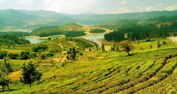 Amazing 3 Days Bangalore to Ooty Tour Package