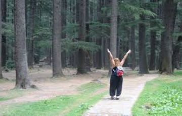 Heart-warming Shimla Tour Package from Chandigarh