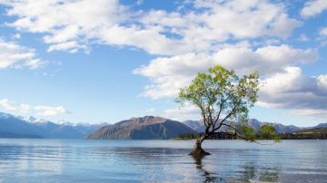 Amazing 11 Days Auckland, Rotorua, Queenstown and Mount Cook Vacation Package