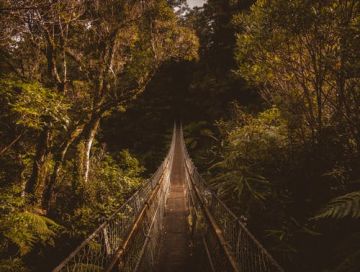 Amazing 11 Days Auckland, Rotorua, Queenstown and Mount Cook Vacation Package