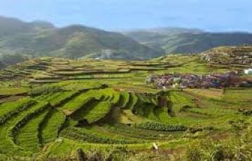 Best Panchgani Tour Package for 3 Days from Mumbai