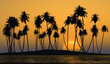 Amazing Bangalore Tour Package for 6 Days