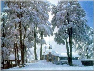 Heart-warming Shimla Tour Package for 6 Days 5 Nights from Delhi