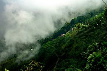 Best Darjeeling Tour Package for 2 Days 1 Night