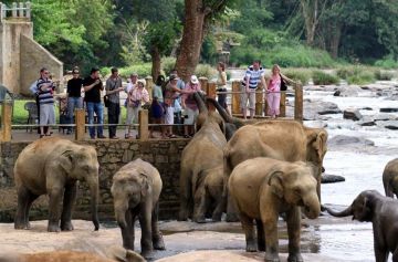 Pleasurable 11 Days Negombo, Sigiriya, Kandy and Kandy Tour Package