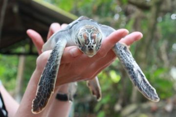 Family Getaway 5 Days 4 Nights Nuwaraeliya Vacation Package