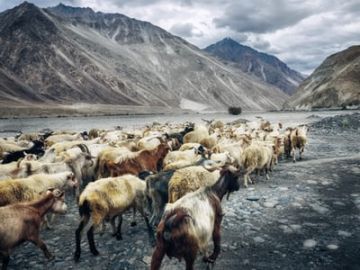 Memorable 6 Days 5 Nights Leh Tour Package