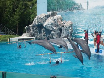 Amazing 6 Days 5 Nights Malaysia and Singapore Vacation Package