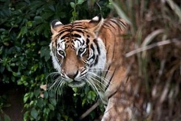 Pleasurable Dhaka Tour Package for 5 Days 4 Nights from Departure