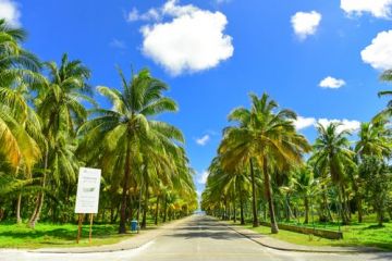 Experience 4 Days Maldives to Male Trip Package