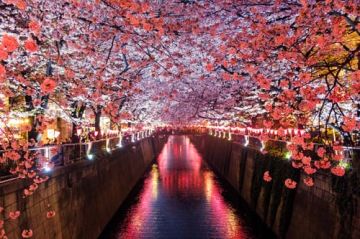 5 nights & 6 days Japan tour package