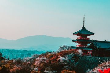 Heart-warming 3 Days 2 Nights Tokyo Tour Package