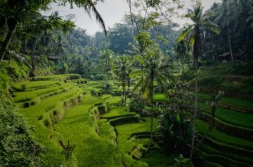 Ecstatic Bali Tour Package for 6 Days 5 Nights