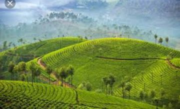 Memorable 7 Days Munnar, Alleppey and Varkala Holiday Package