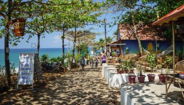 Memorable 7 Days Munnar, Alleppey and Varkala Holiday Package