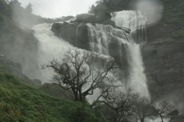 Heart-warming 2 Days 1 Night Madikeri Tour Package