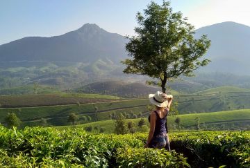 Heart-warming 3 Days 2 Nights Cochin-munnar Vacation Package