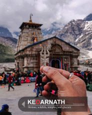 Heart-warming 12 Days New Delhi to New Delhi To Haridwar Tour Package