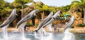 Gold Coast Tour Package for 6 Days from Sydney