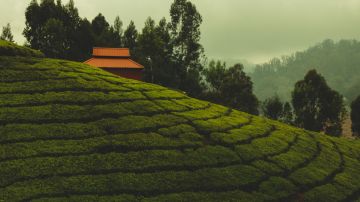 Magical Ooty Tour Package for 4 Days 3 Nights