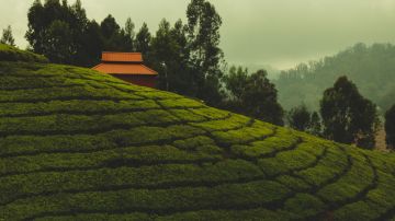 Family Getaway 2 Days Coonoor Holiday Package