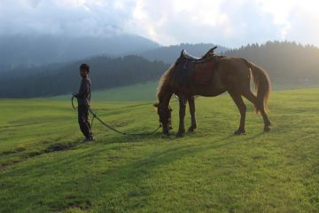 Ecstatic Katra Tour Package for 3 Days 2 Nights from Jammu