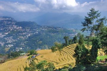 4 Days 3 Nights Bagdogra to Darjeeling Holiday Package