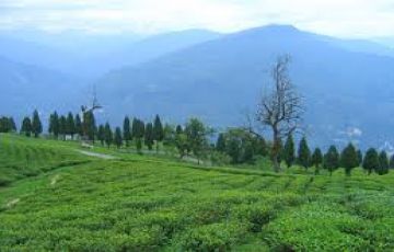 Pleasurable 3 Days 2 Nights Bagdogra and Darjeeling Vacation Package