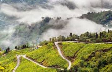 Pleasurable 4 Days Bagdogra, Darjeeling with Gangtok Trip Package