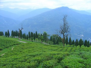 Ecstatic Bagdogra Tour Package for 3 Days 2 Nights