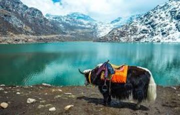 Pleasurable 8 Days Bagdogra to Darjeeling Vacation Package